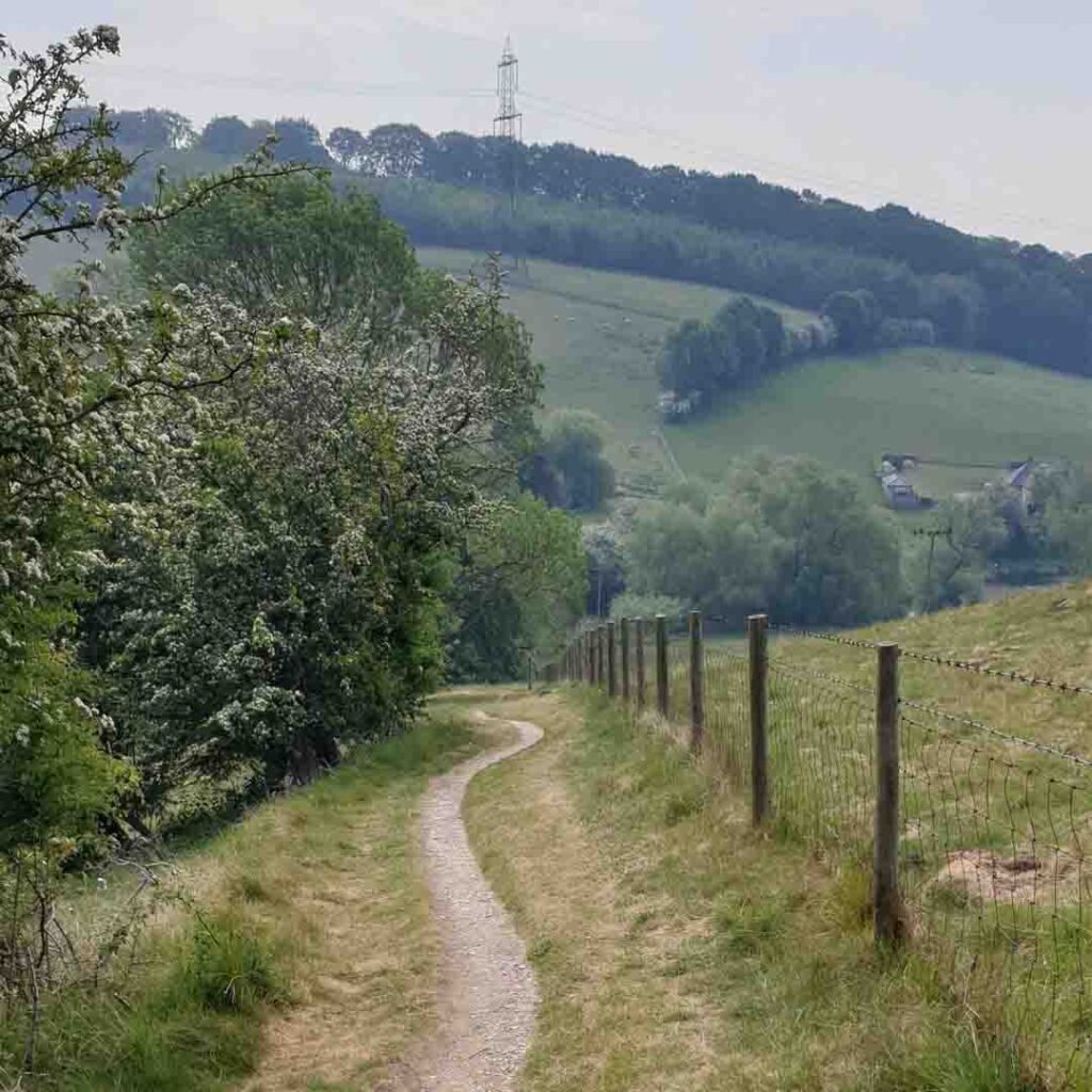Chalk path Yorkshire wolds