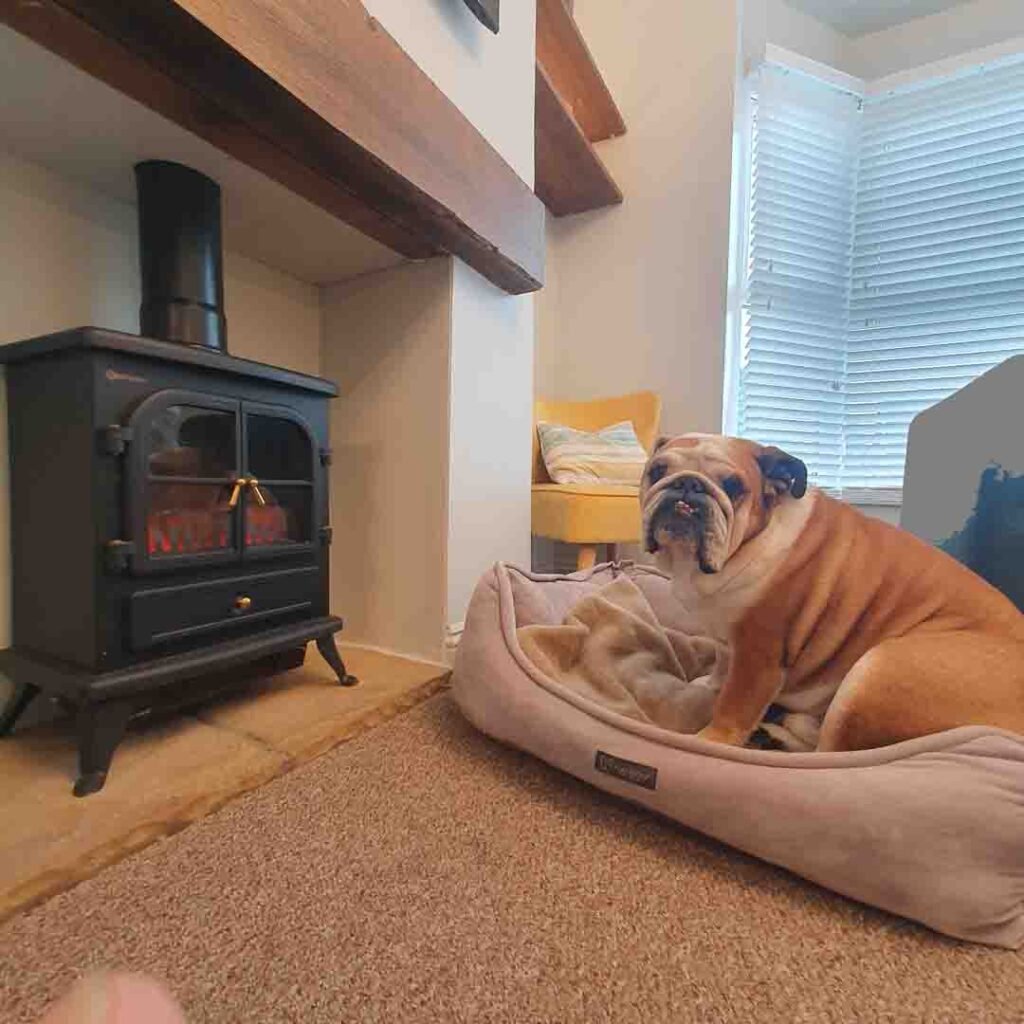 Dog friendly holiday cottage