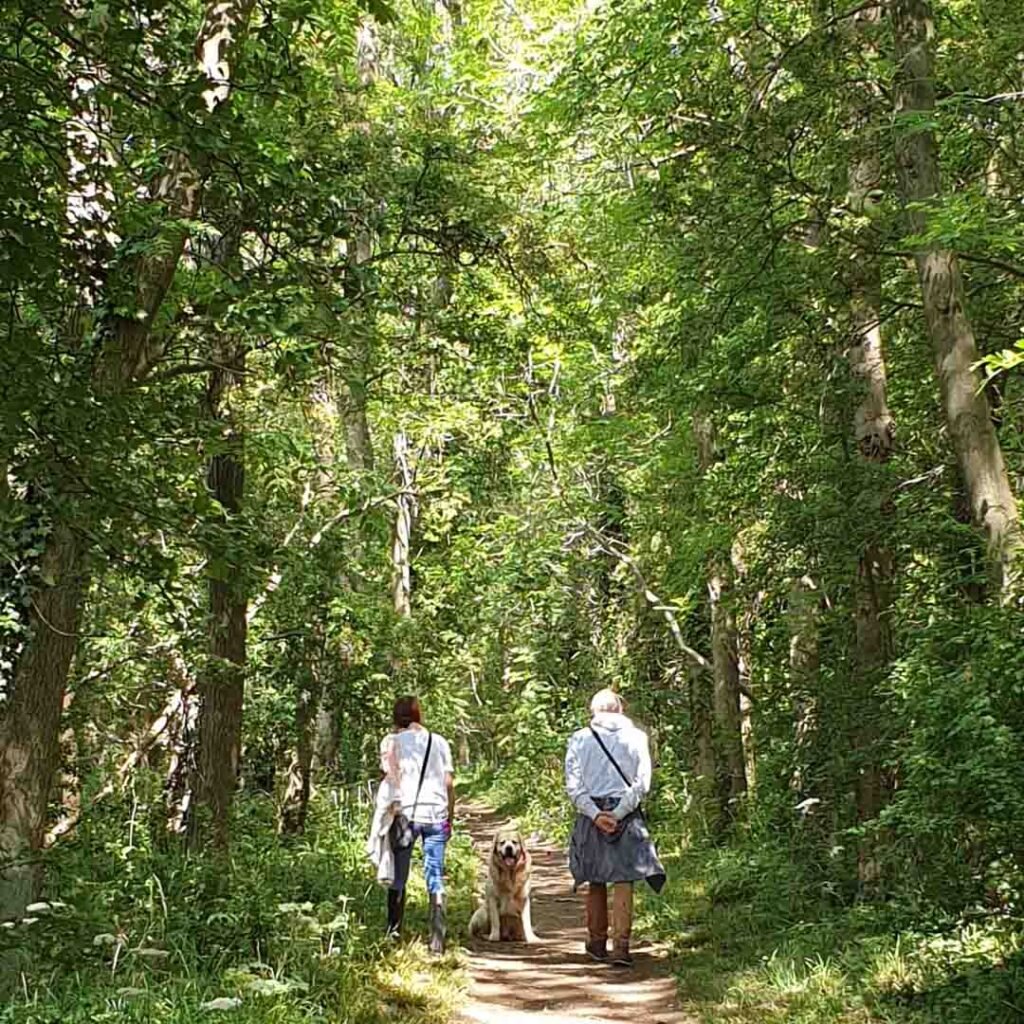 Yorkshire wolds holiday cottage walks